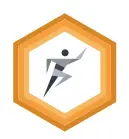 Online coaching Basic / maand
